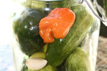 Champagne White Balsamic Garlic Habanero Pickles