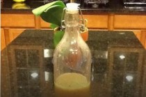Chipotle Grill Marinade