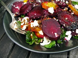Fall Medley Salad